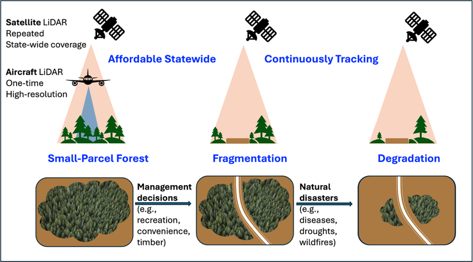 Forestry